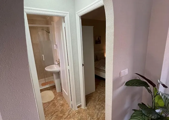 Mit Meerblick In Apartment Torrevieja